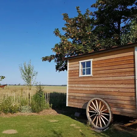 Heimatliebe * Börgerende-Rethwisch