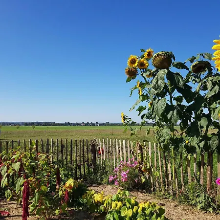Heimatliebe * Börgerende-Rethwisch