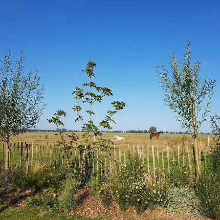 Heimatliebe Börgerende-Rethwisch