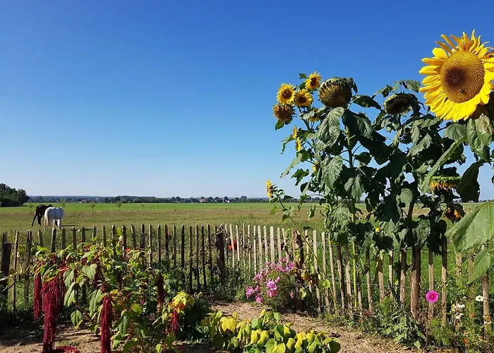 Heimatliebe * Börgerende-Rethwisch