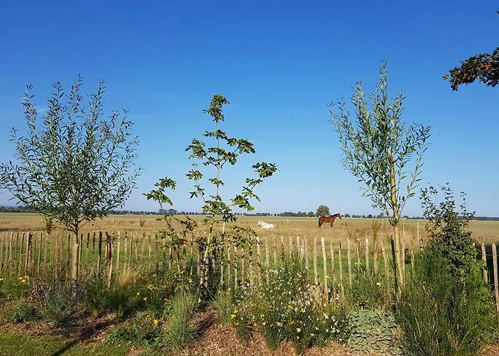 Heimatliebe Börgerende-Rethwisch